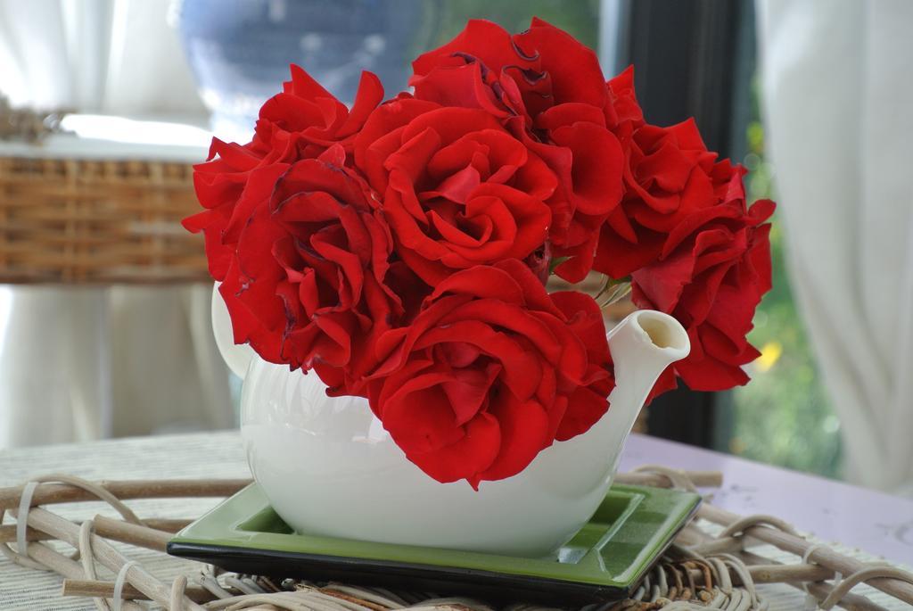 فندق Il Giardino Del Te بارليتا المظهر الخارجي الصورة