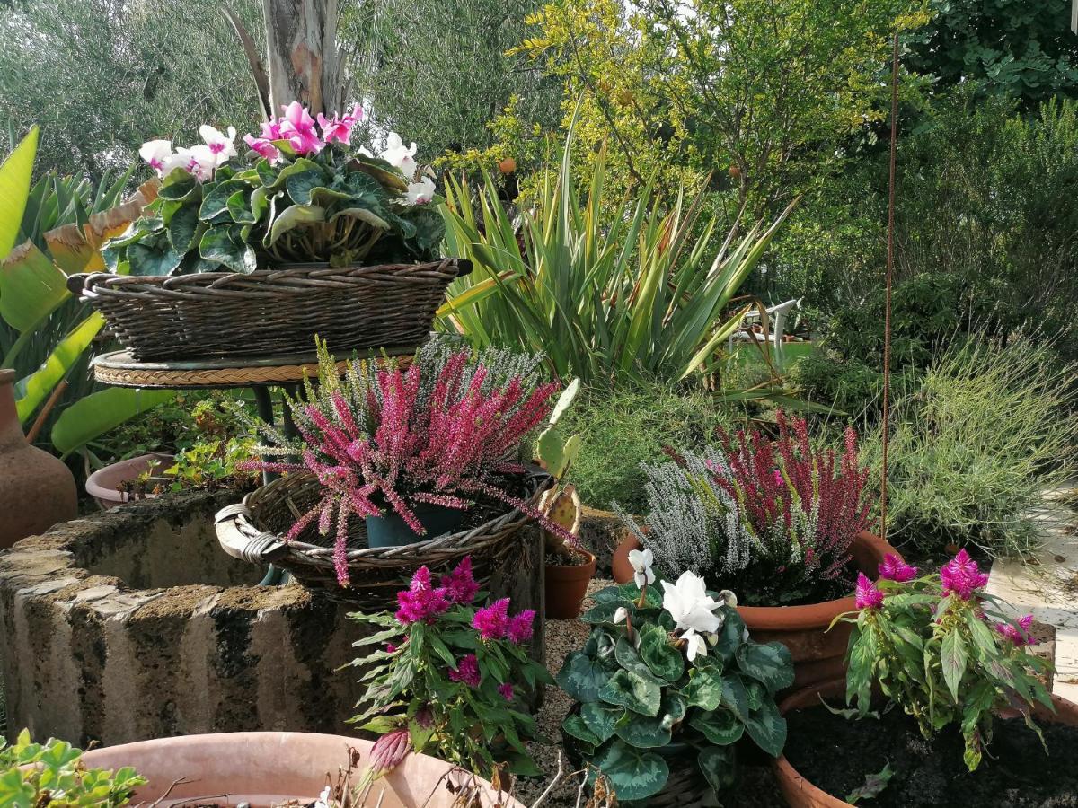 فندق Il Giardino Del Te بارليتا المظهر الخارجي الصورة