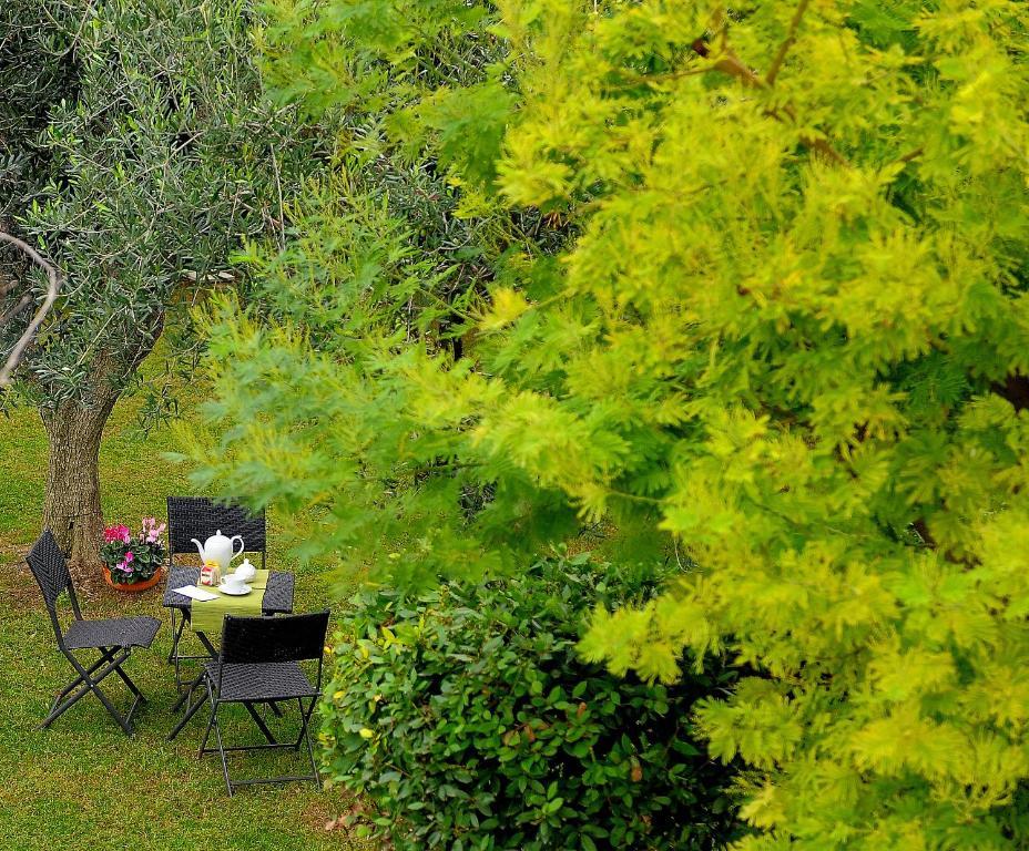 فندق Il Giardino Del Te بارليتا المظهر الخارجي الصورة