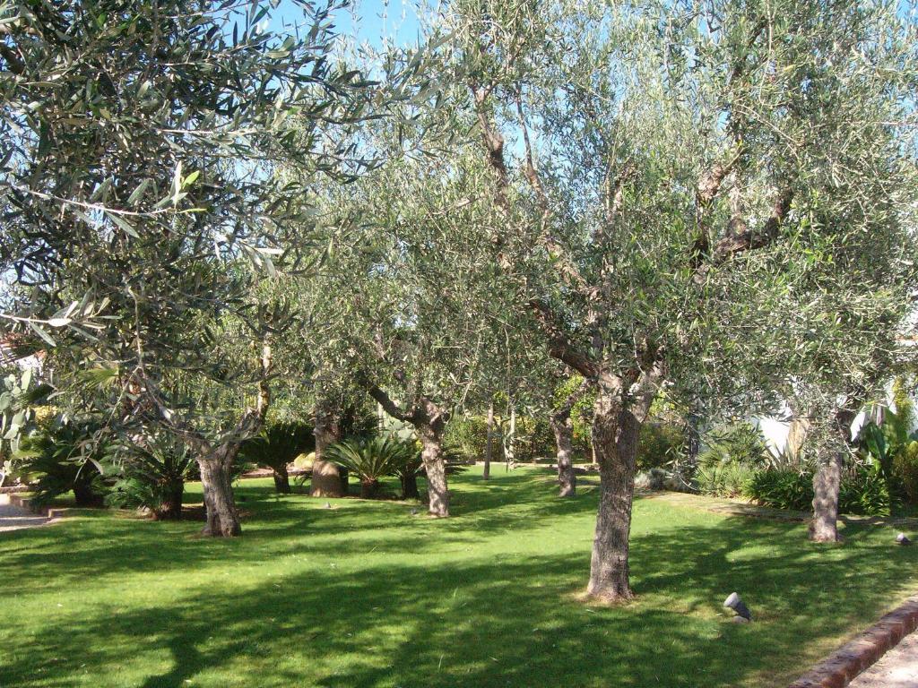 فندق Il Giardino Del Te بارليتا المظهر الخارجي الصورة
