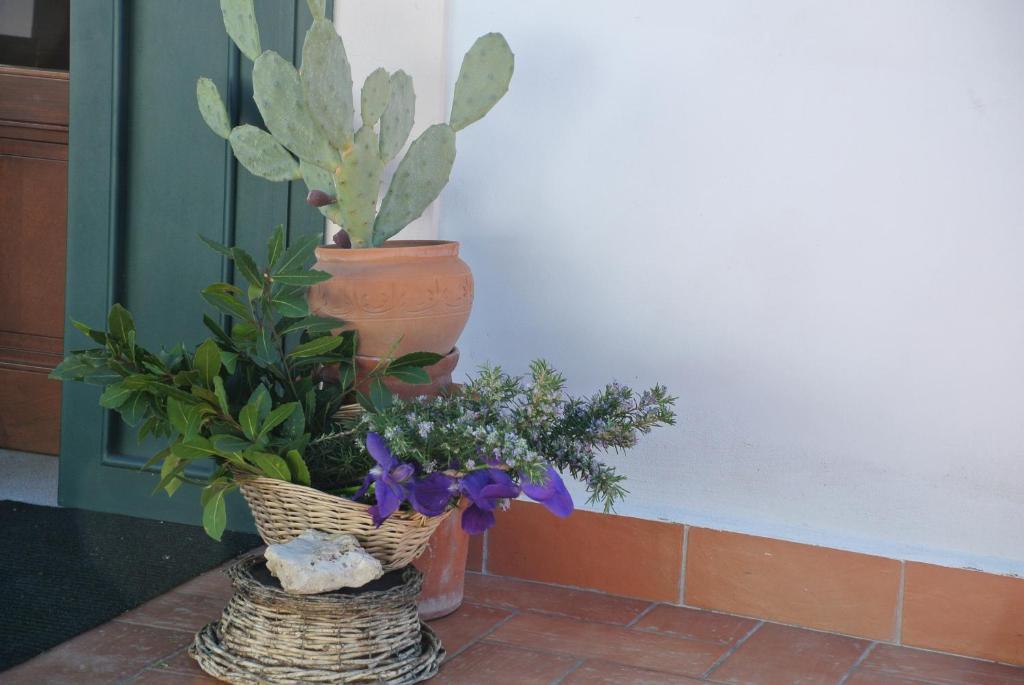 فندق Il Giardino Del Te بارليتا المظهر الخارجي الصورة